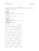 CHIMERIC LUCIFERASES diagram and image