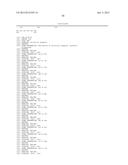 CHIMERIC LUCIFERASES diagram and image