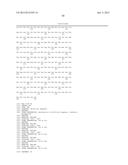 CHIMERIC LUCIFERASES diagram and image