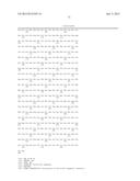 CHIMERIC LUCIFERASES diagram and image