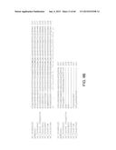 Endoribonuclease and Methods of Use Thereof diagram and image