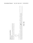 Endoribonuclease and Methods of Use Thereof diagram and image