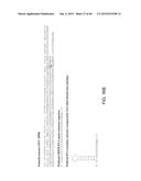 Endoribonuclease and Methods of Use Thereof diagram and image