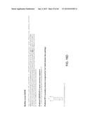 Endoribonuclease and Methods of Use Thereof diagram and image