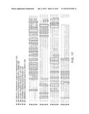 Endoribonuclease and Methods of Use Thereof diagram and image