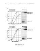 Endoribonuclease and Methods of Use Thereof diagram and image