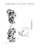 Endoribonuclease and Methods of Use Thereof diagram and image