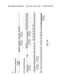 Endoribonuclease and Methods of Use Thereof diagram and image