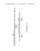 Endoribonuclease and Methods of Use Thereof diagram and image