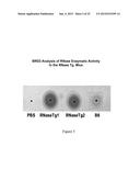 Therapeutic Nuclease Compositions and Methods diagram and image