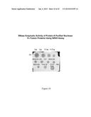 Therapeutic Nuclease Compositions and Methods diagram and image