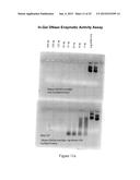 Therapeutic Nuclease Compositions and Methods diagram and image