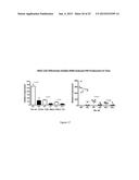 Therapeutic Nuclease Compositions and Methods diagram and image