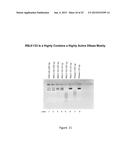 Therapeutic Nuclease Compositions and Methods diagram and image