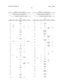 ALPHA AMYLASE VARIANTS DERIVED FROM THE ALPHA AMYLASE OF CYTOPHAGA SP.     AMYLASE (CSPAMY2) diagram and image