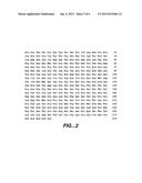 PROTEASES PRODUCING AN ALTERED IMMUNOLOGICAL RESPONSE AND METHODS OF     MAKING AND USING THE SAME diagram and image