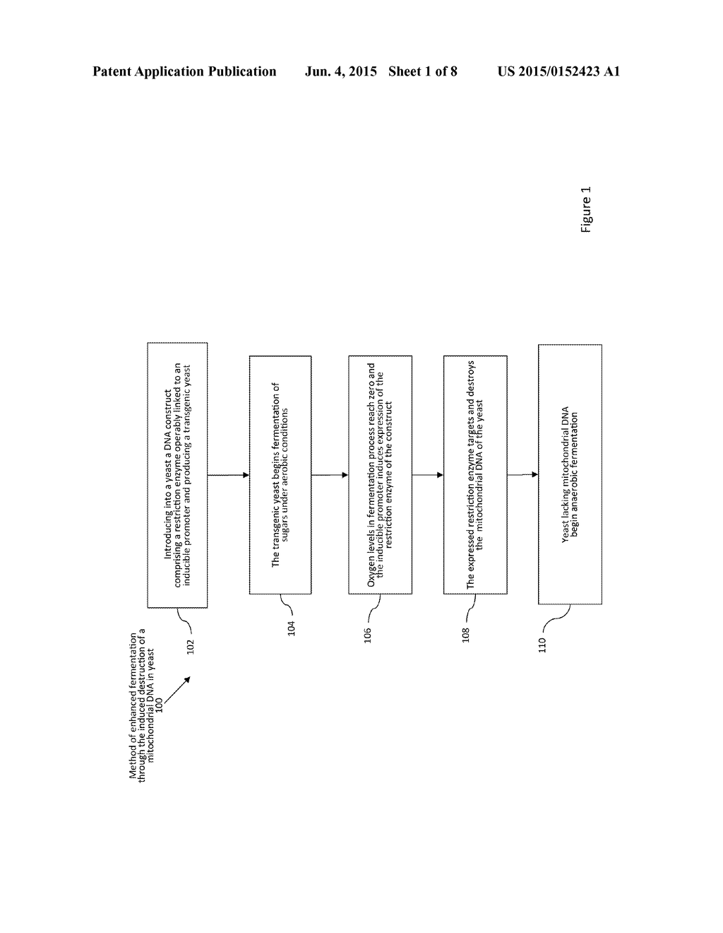 METHOD FOR ENHANCED FERMENTATION THROUGH THE DESTRUCTION OF MITOCHONDRIAL     DNA IN YEAST - diagram, schematic, and image 02