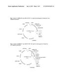 PLANTS WITH INCREASED YIELD AND A METHOD FOR MAKING THE SAME diagram and image