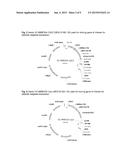 PLANTS WITH INCREASED YIELD AND A METHOD FOR MAKING THE SAME diagram and image