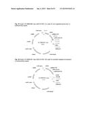 PLANTS WITH INCREASED YIELD AND A METHOD FOR MAKING THE SAME diagram and image