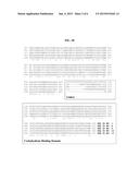 METHOD OF USING ALPHA-AMYLASE FROM ASPERGILLUS CLAVATUS FOR     SACCHARIFICATION diagram and image