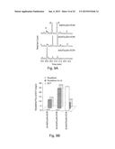 MICROBIAL ENGINEERING FOR THE PRODUCTION OF CHEMICAL AND PHARMACEUTICAL     PRODUCTS FROM THE ISOPRENOID PATHWAY diagram and image