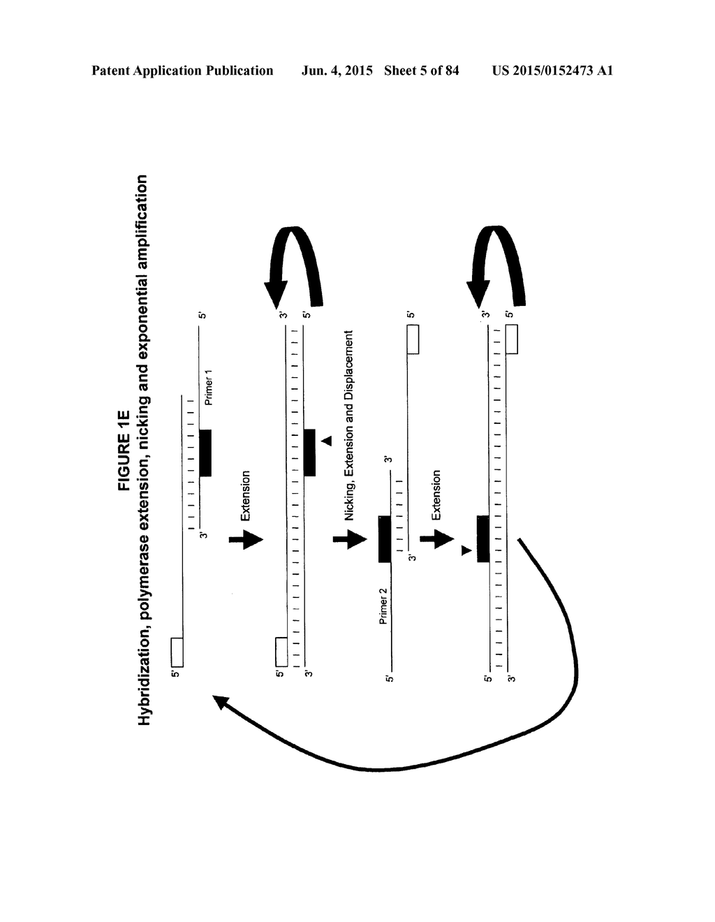 IMMUNO-AMPLIFICATION - diagram, schematic, and image 06