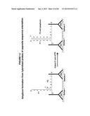 IMMUNO-AMPLIFICATION diagram and image