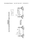 IMMUNO-AMPLIFICATION diagram and image