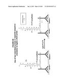 IMMUNO-AMPLIFICATION diagram and image