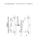 IMMUNO-AMPLIFICATION diagram and image