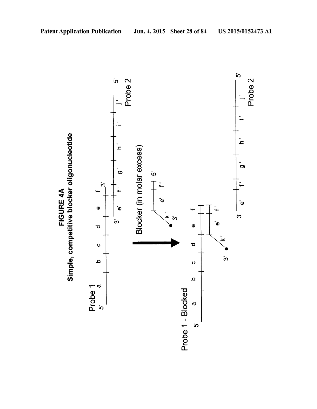 IMMUNO-AMPLIFICATION - diagram, schematic, and image 29