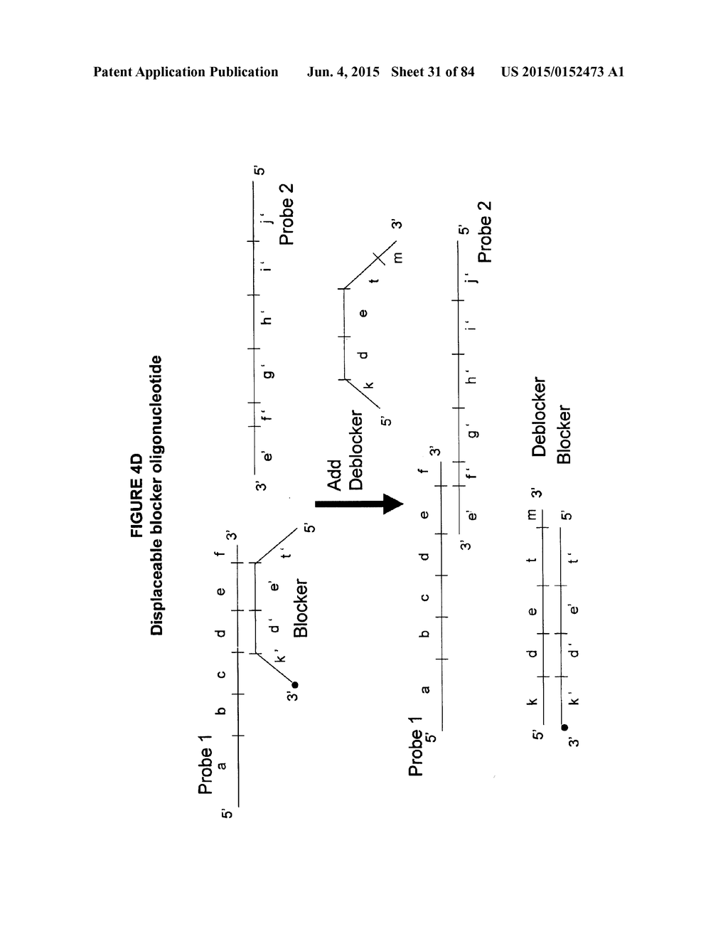 IMMUNO-AMPLIFICATION - diagram, schematic, and image 32