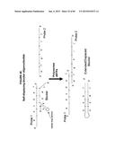 IMMUNO-AMPLIFICATION diagram and image