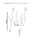 IMMUNO-AMPLIFICATION diagram and image