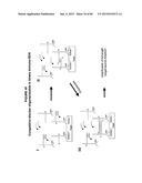 IMMUNO-AMPLIFICATION diagram and image