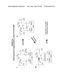 IMMUNO-AMPLIFICATION diagram and image