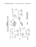 IMMUNO-AMPLIFICATION diagram and image