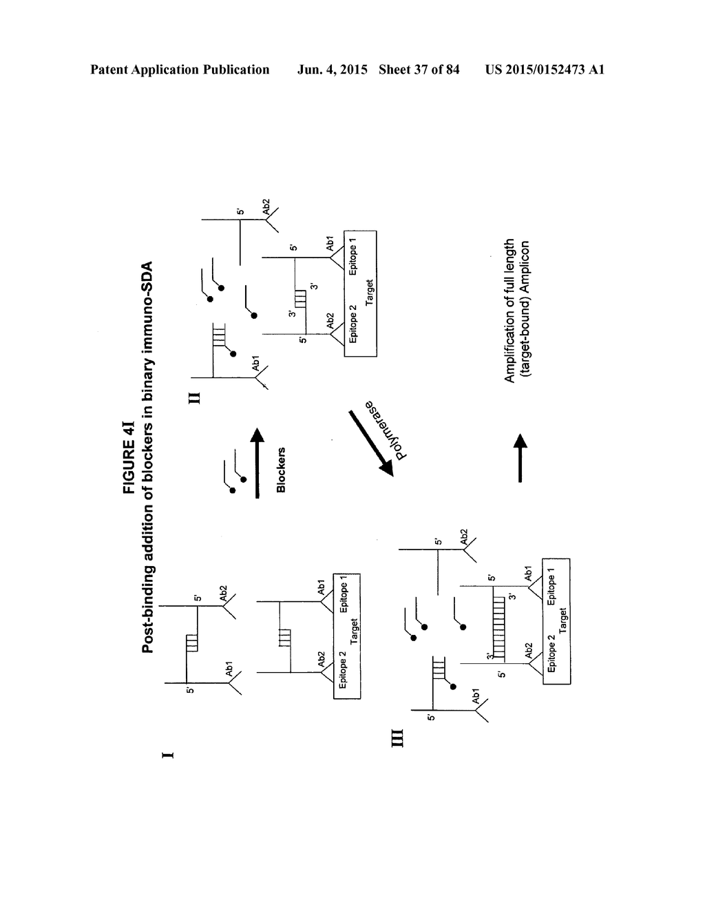 IMMUNO-AMPLIFICATION - diagram, schematic, and image 38