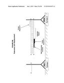 IMMUNO-AMPLIFICATION diagram and image