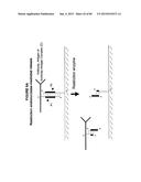 IMMUNO-AMPLIFICATION diagram and image