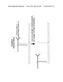 IMMUNO-AMPLIFICATION diagram and image