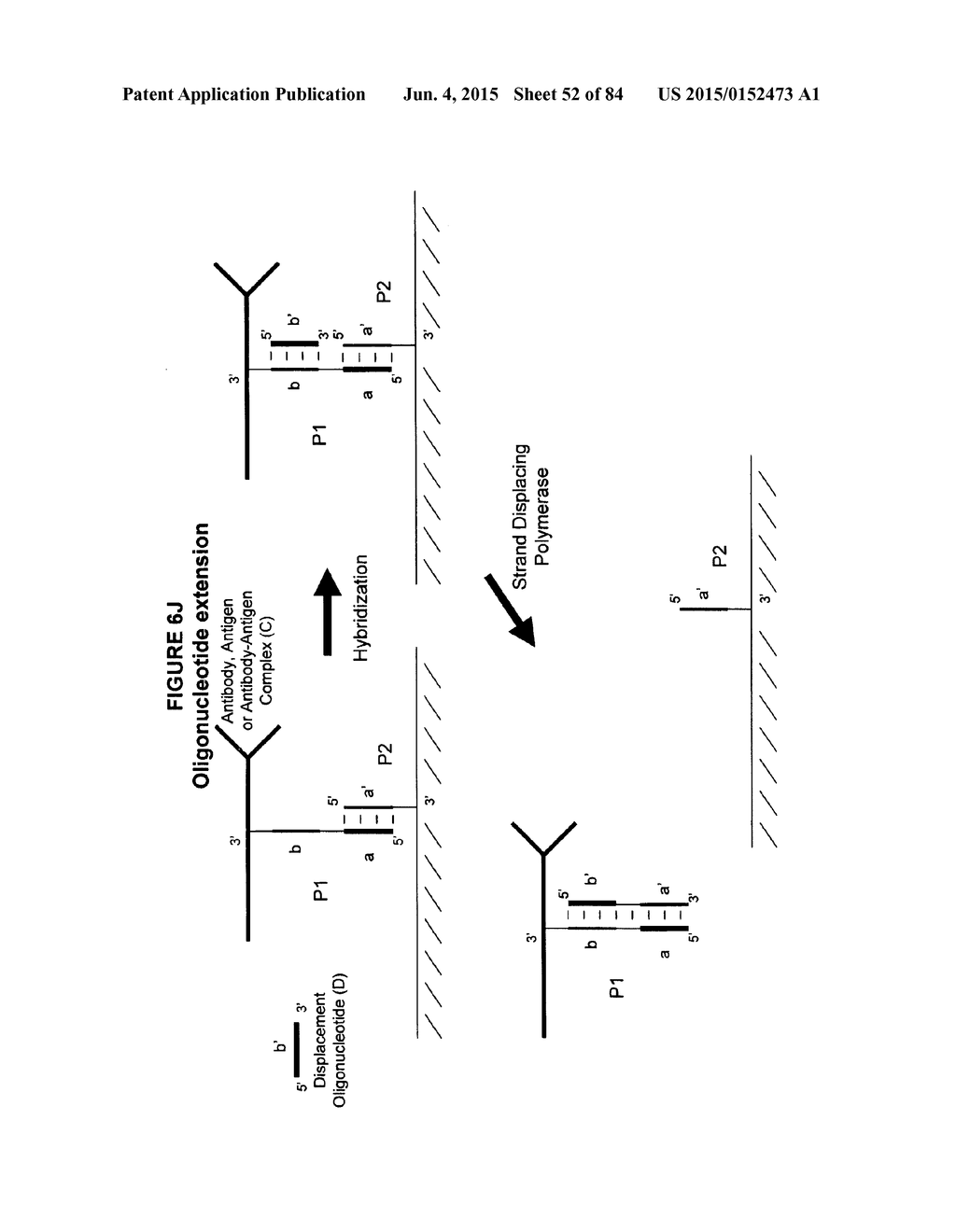 IMMUNO-AMPLIFICATION - diagram, schematic, and image 53