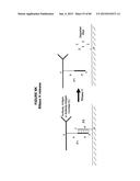 IMMUNO-AMPLIFICATION diagram and image