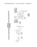 IMMUNO-AMPLIFICATION diagram and image