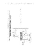 IMMUNO-AMPLIFICATION diagram and image