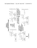 IMMUNO-AMPLIFICATION diagram and image