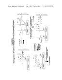 IMMUNO-AMPLIFICATION diagram and image