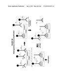 IMMUNO-AMPLIFICATION diagram and image