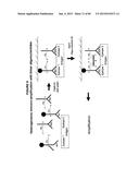 IMMUNO-AMPLIFICATION diagram and image